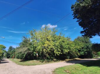 VENTA LOTE EN ARTURO SEGUI